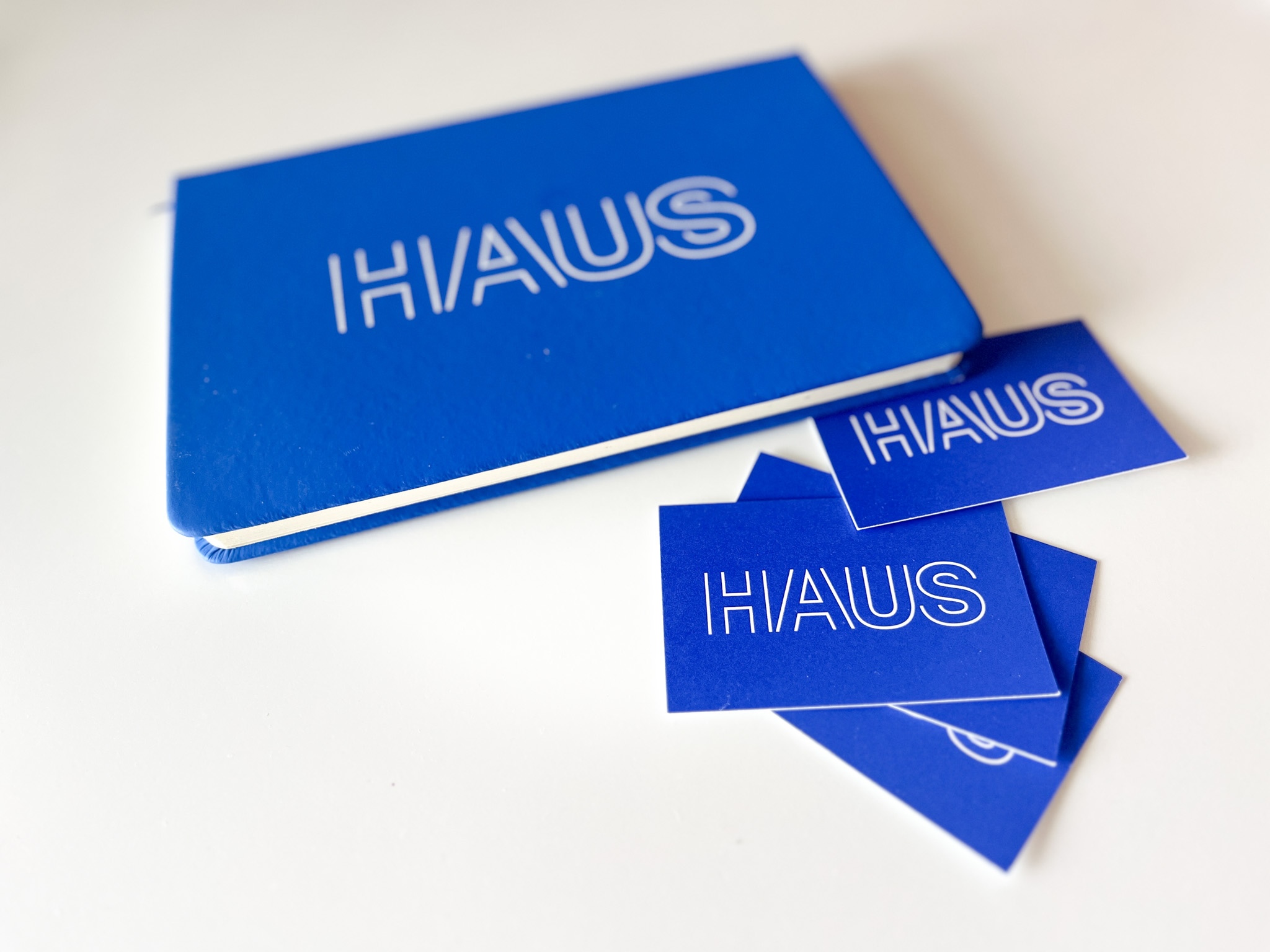 HAUS 3